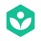 Biểu tượng Khan Academy